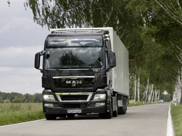 Обои картинки фото автомобили, man