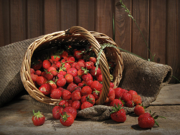 Обои картинки фото еда, клубника, земляника