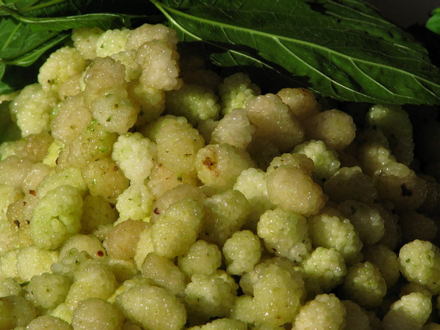 Обои картинки фото тутовник, еда, фрукты, ягоды