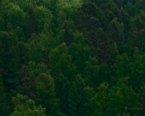 Картинка рисованные vladstudio