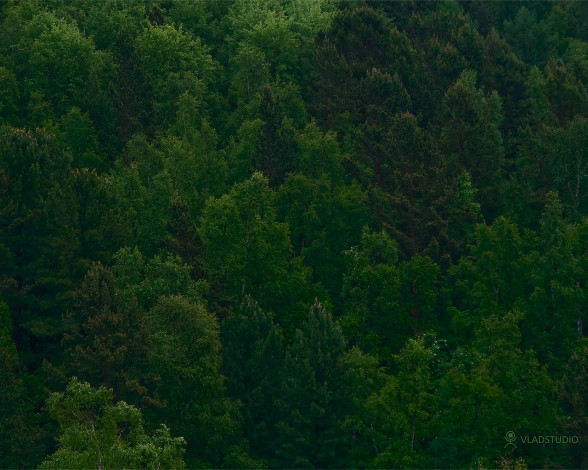 Обои картинки фото рисованные, vladstudio