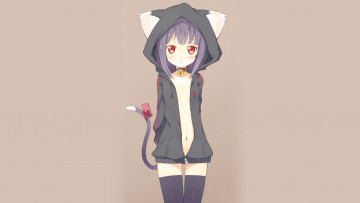 Картинка аниме animals неко девушка