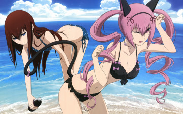 Картинка аниме steins gate пляж девушки