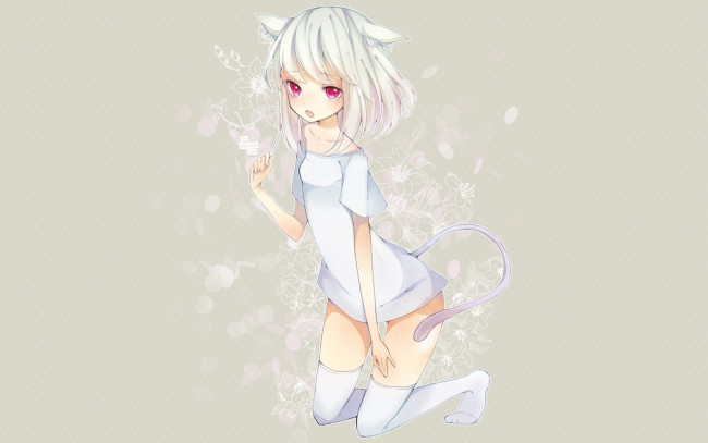 Обои картинки фото аниме, animals, девушка, неко