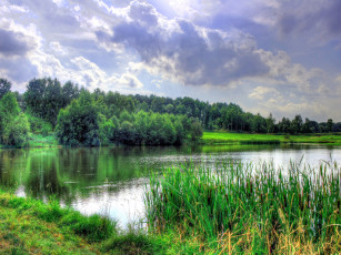 Картинка природа реки озера деревья озеро