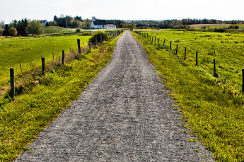 Картинка природа дороги дорога забор