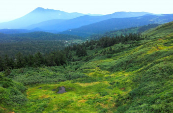 Картинка природа пейзажи лес горы