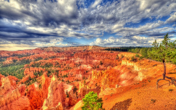 Картинка природа горы дерево скалы