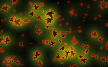 Картинка векторная графика листья