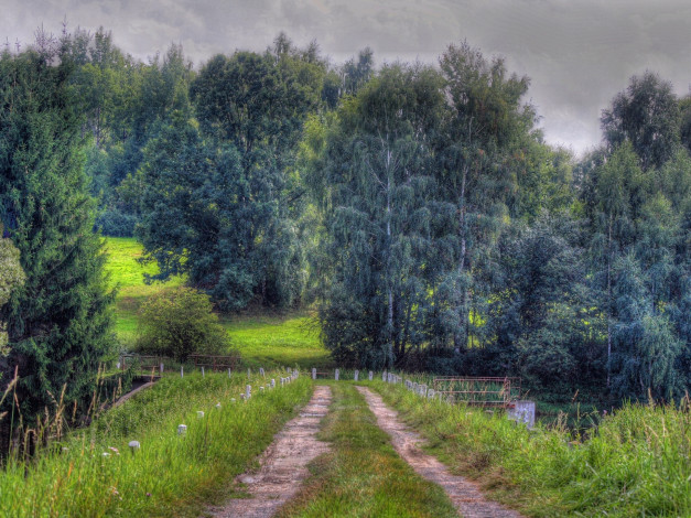 Обои картинки фото природа, дороги, деревья, дорога