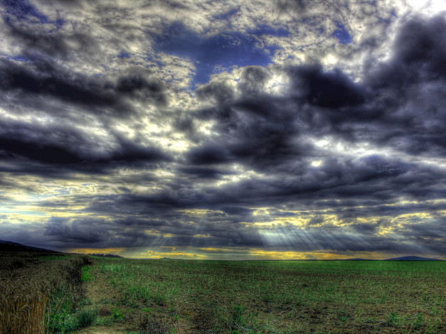 Обои картинки фото природа, поля, поле, тучи