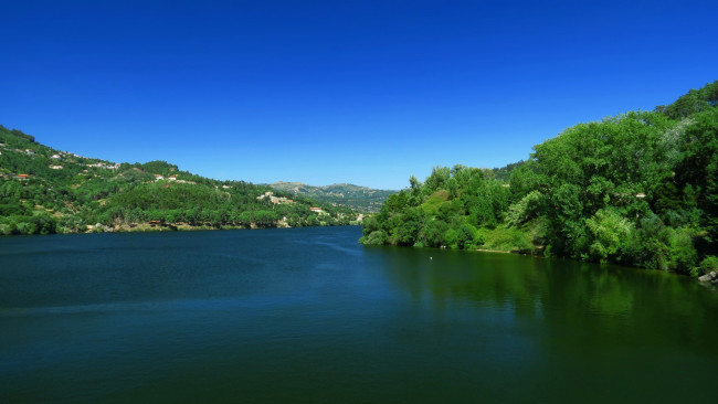 Обои картинки фото природа, реки, озера, деревья, река