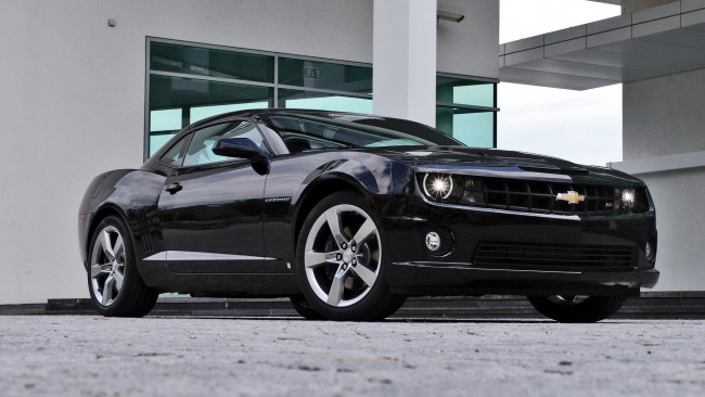 Обои картинки фото chevrolet, camaro, автомобили, сша, автомобиль, легковой, культовый, gm, division