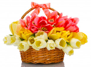 Картинка цветы тюльпаны корзина
