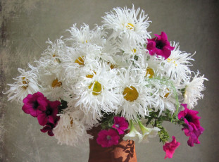 Картинка цветы разные+вместе ромашки петунии