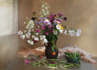 Картинка цветы луговые+ полевые +цветы колокольчики горох