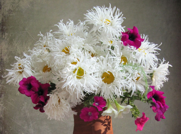 Обои картинки фото цветы, разные вместе, ромашки, петунии