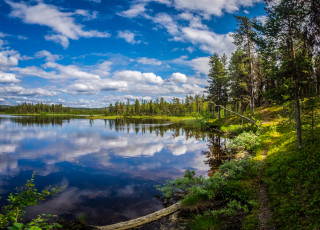 Картинка природа реки озера река лес