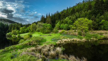 Картинка природа реки озера река лес