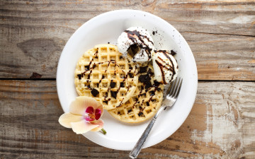 Картинка еда мороженое +десерты шоколад вафли орхидея десерт