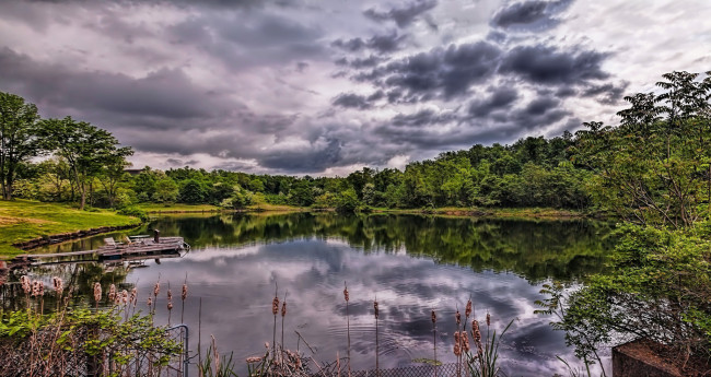 Обои картинки фото природа, реки, озера, лес, река