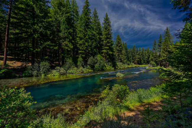 Обои картинки фото природа, реки, озера, река, лес