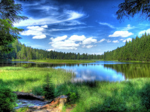 Картинка природа реки озера река лес