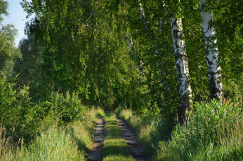 Картинка природа дороги тракт