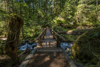 Картинка природа дороги тракт