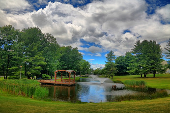 Картинка природа парк лес река