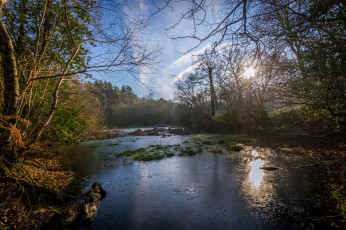 Картинка природа реки озера лес река