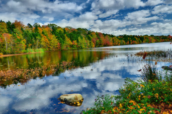 Картинка природа реки озера река лес