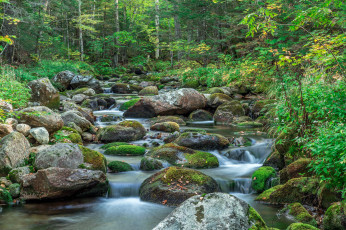 Картинка природа реки озера река лес