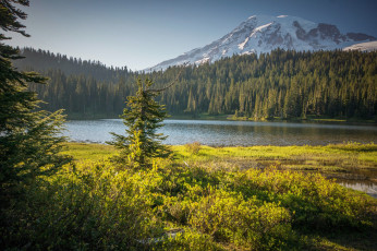 Картинка природа реки озера река лес