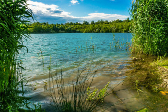 Картинка природа реки озера река лес