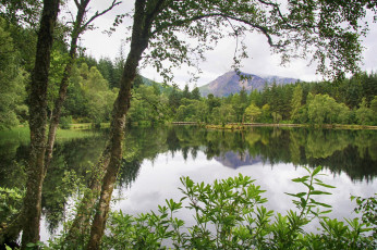 Картинка природа реки озера река лес