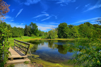 Картинка природа реки озера река лес