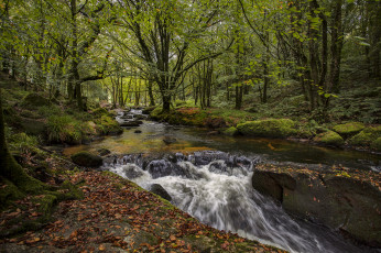 Картинка природа водопады лес река водопад