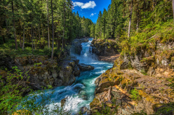 Картинка природа водопады лес водопад река