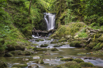 Картинка природа водопады река лес водопад