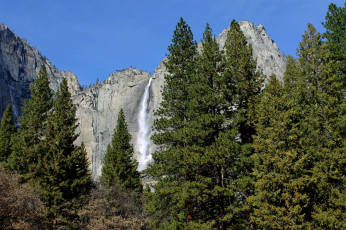 Картинка природа водопады водопад река лес