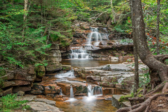 Картинка природа водопады водопад река лес