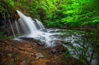 Картинка природа водопады водопад река лес