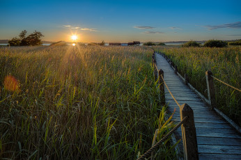 Картинка природа восходы закаты рассвет