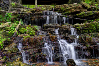 Картинка природа водопады лес река водопад