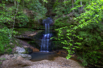 Картинка природа водопады водопад река лес
