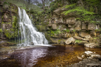 Картинка природа водопады водопад река лес