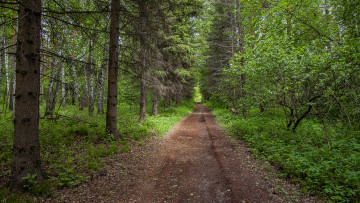 Картинка природа дороги тракт