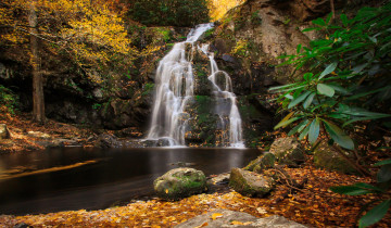 Картинка природа водопады водопад река лес