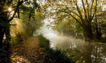 Картинка природа реки озера река лес